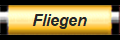 Fliegen